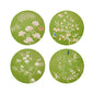 Chinoiserie Coaster Green- Set of 4